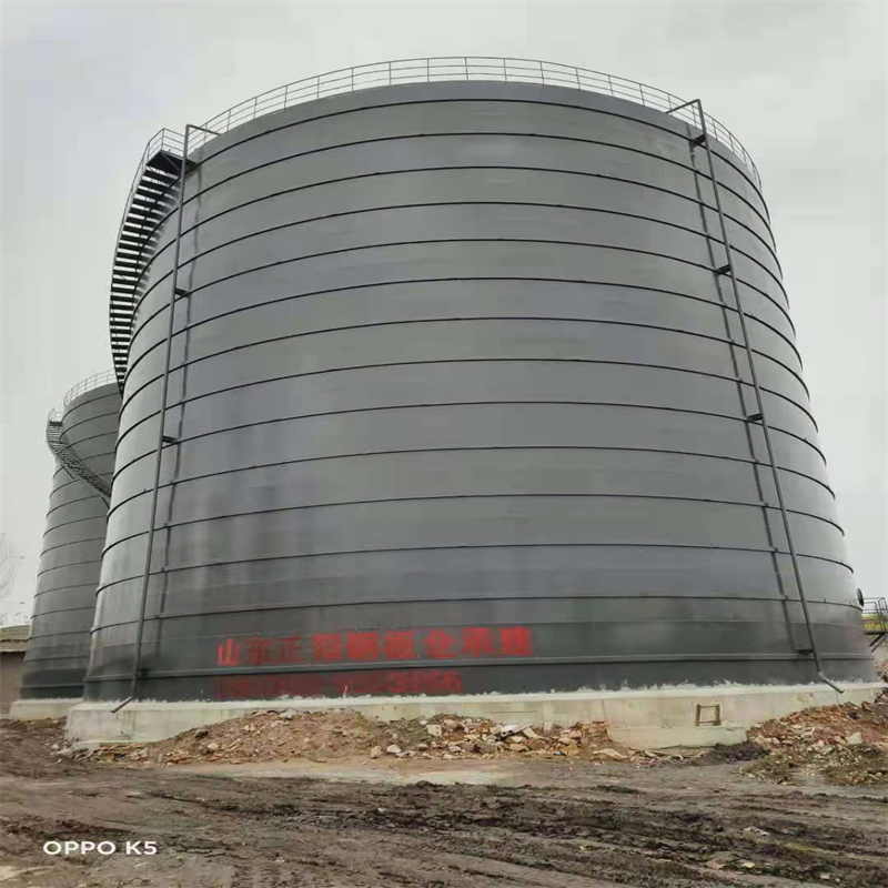 天台3万吨大型钢板库