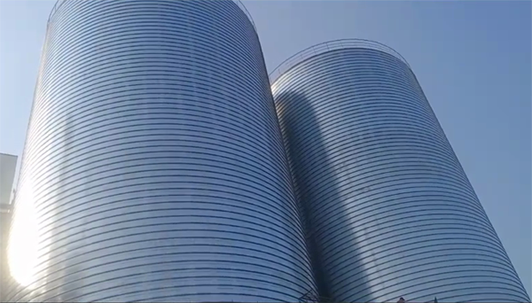 天台2座混凝土高架卷板仓